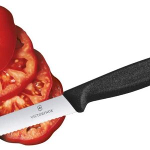 51t1It65oXL._AC_SL1000_