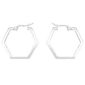Simplicity Hexagon Earrings, Silver
