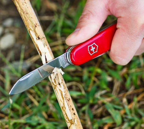 SAK Evolution Grip 14, Black/Red 2.3903.C