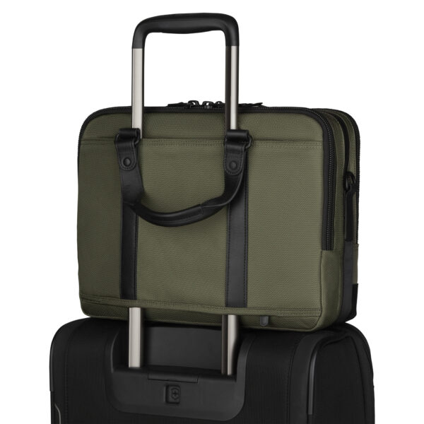 Lexicon Professional LaSalle 13, Olive