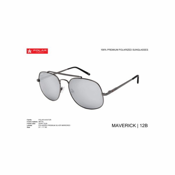 Polar Sunglass Model Maverik Col.12/B