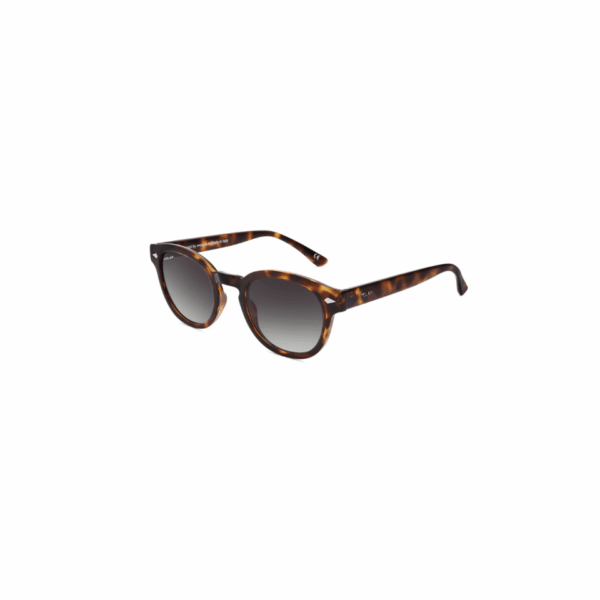 Polar Sunglass Model Oliver Col.428/G