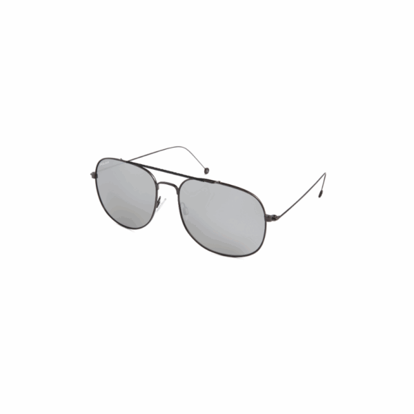 Polar Sunglass Model Burel Col.22