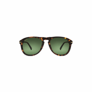 Polar Sunglass Model Gold 101 Col.428