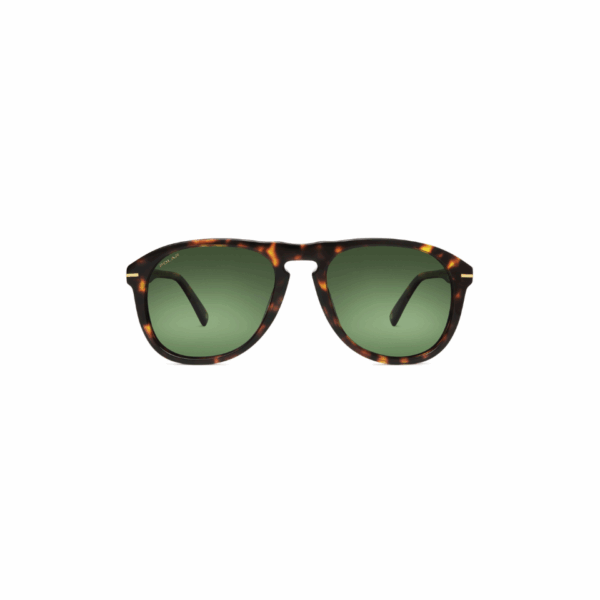 Polar Sunglass Model Gold 101 Col.428