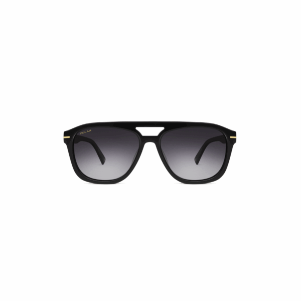 Polar Sunglass Model Gold 102 Col.77