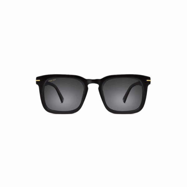 Polar Sunglass Model Gold 103 Col.77