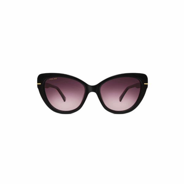 Polar Sunglass Model Gold 106 Col.77/P