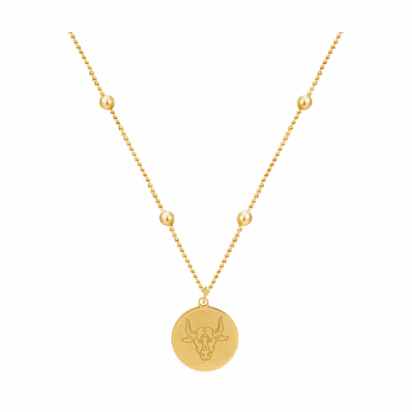 Zodiac Astra Necklace, Taurus