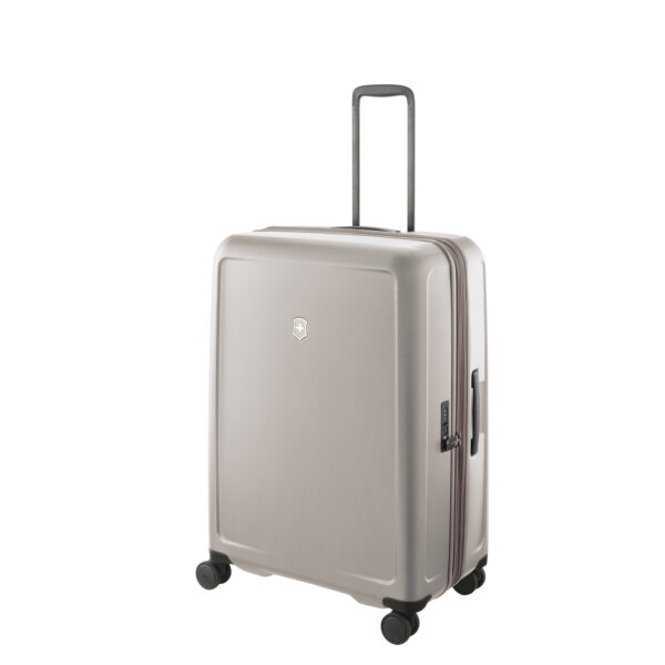Connex Large Hardside Case, Alloy