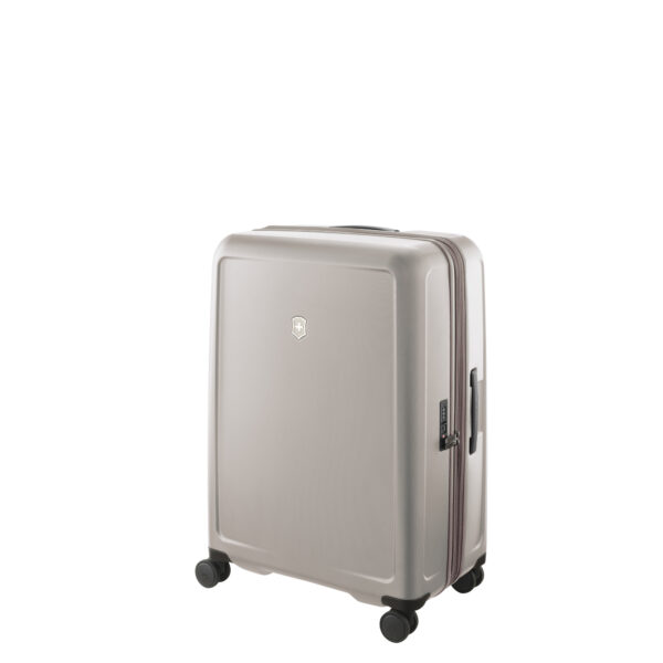 Connex Large Hardside Case, Alloy