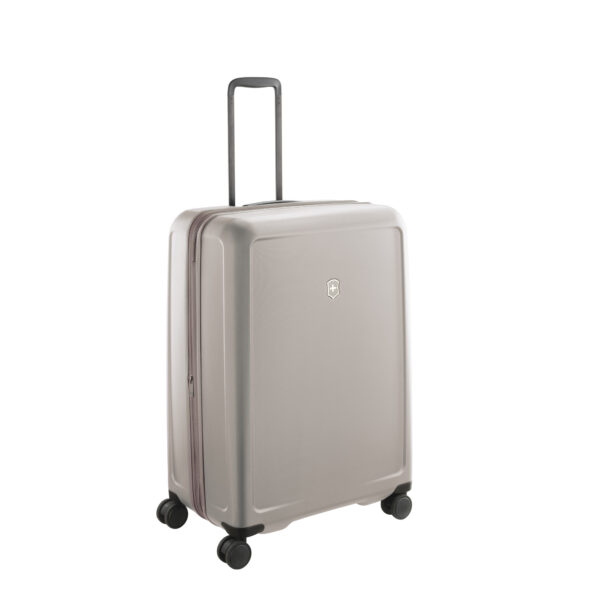Connex Large Hardside Case, Alloy