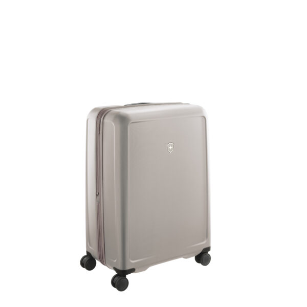 Connex Large Hardside Case, Alloy