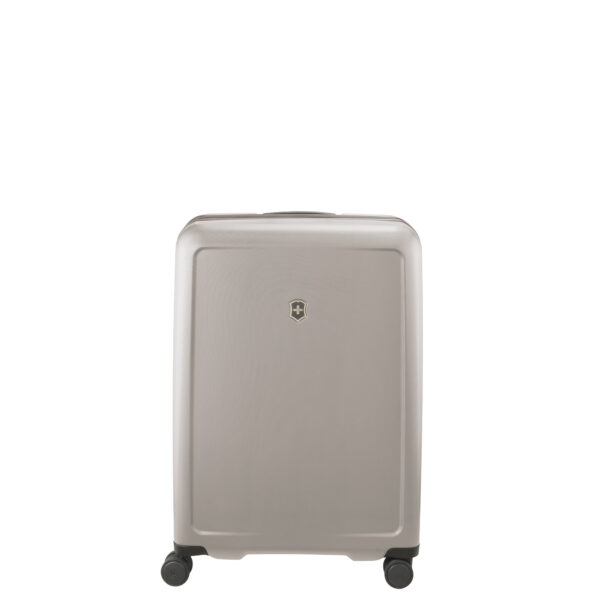 Connex Large Hardside Case, Alloy