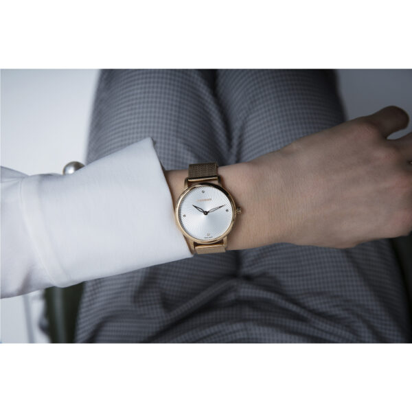 Wenger Urban Classic Watch, 01.1721.114