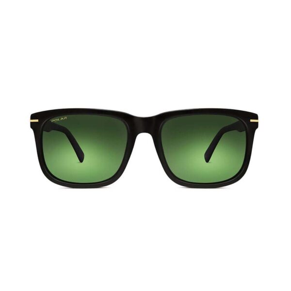 Polar Sunglass Model Gold 104 Col. 77/G