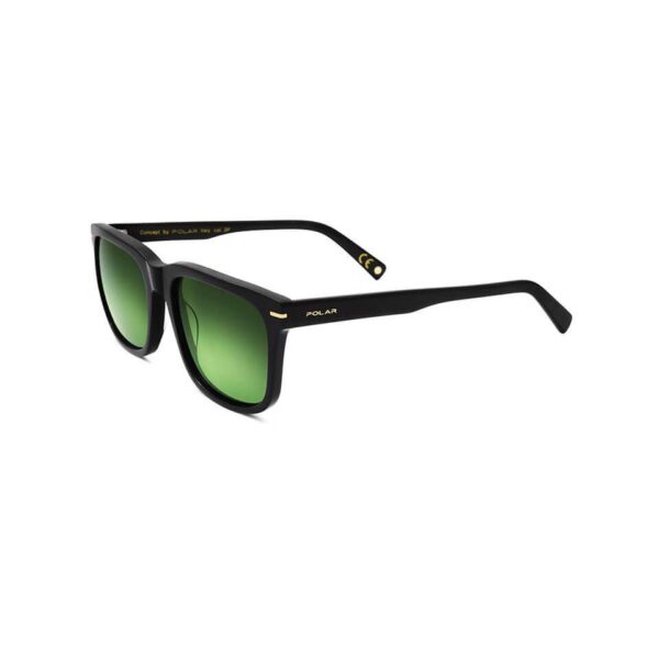 Polar Sunglass Model Gold 104 Col. 77/G