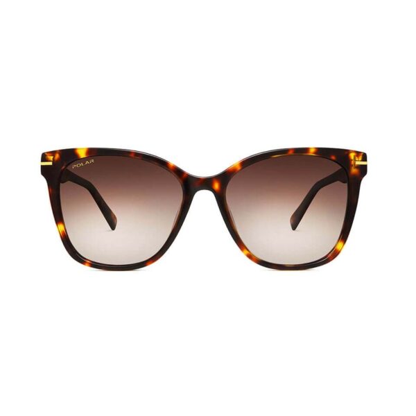 Polar Sunglass Model Gold 105 Col. 428
