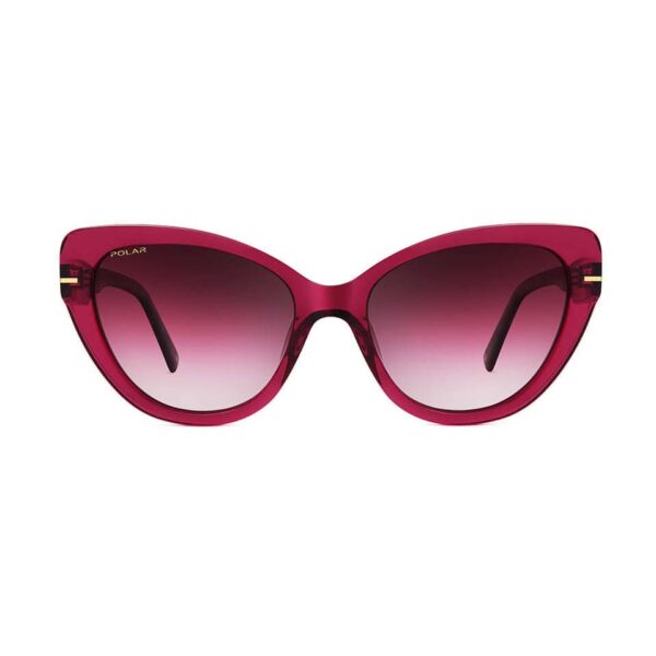 Polar Sunglass Model Gold 106 Col. 417