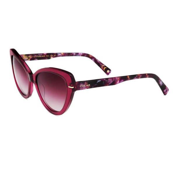 Polar Sunglass Model Gold 106 Col. 417