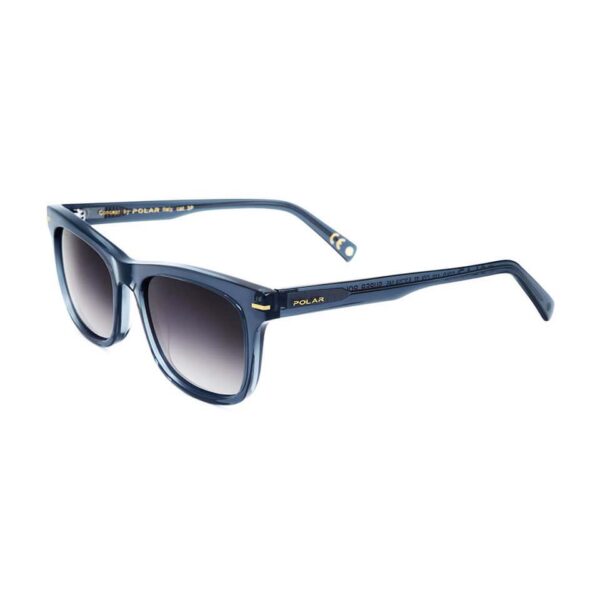 Polar Sunglass Model Gold 110 Col. 27