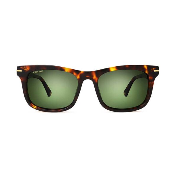 Polar Sunglass Model Gold 110 Col. 428