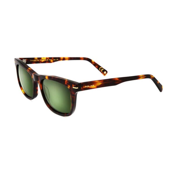 Polar Sunglass Model Gold 110 Col. 428