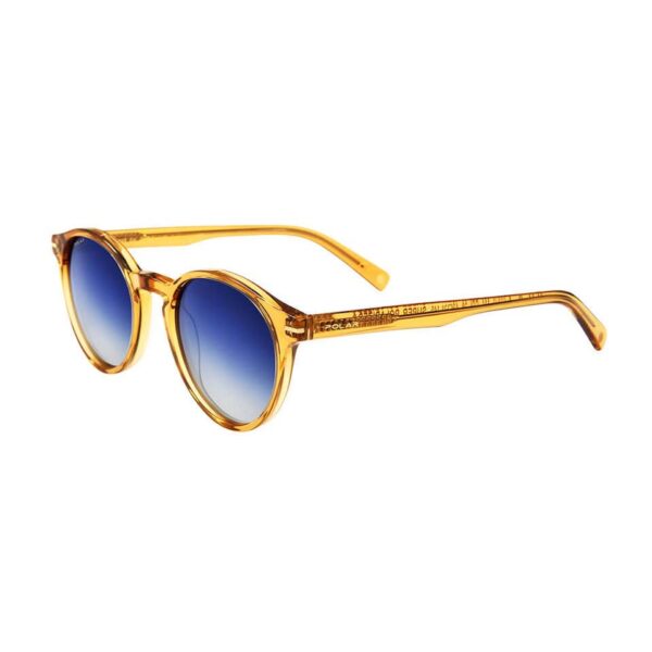 Polar Sunglass Model Gold 111 Col. 28