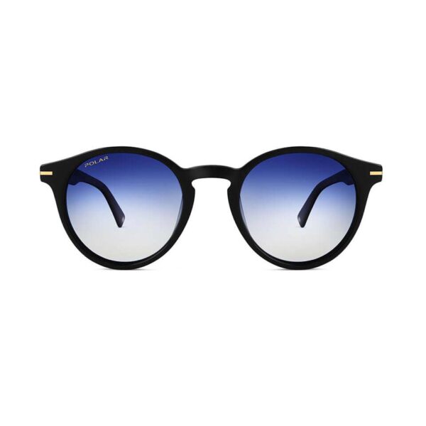 Polar Sunglass Model Gold 111 Col. 77/A