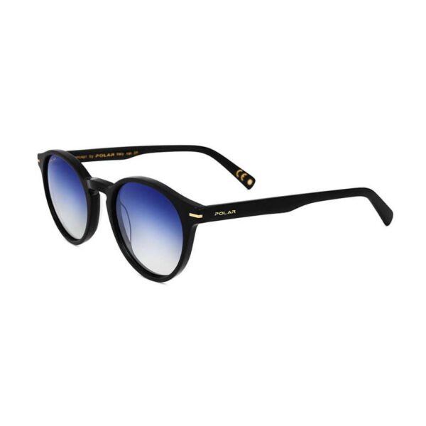 Polar Sunglass Model Gold 111 Col. 77/A