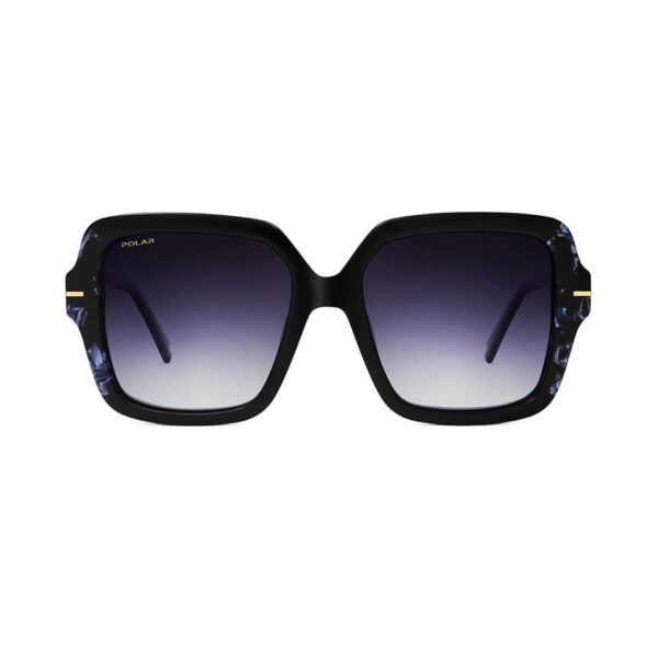 Polar Sunglass Model Gold 113 Col. 420