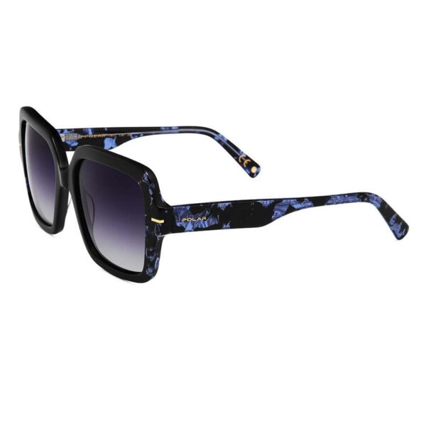 Polar Sunglass Model Gold 113 Col. 420