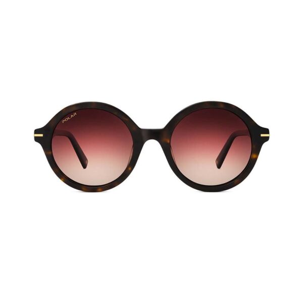 Polar Sunglass Model Gold 122 Col. 428