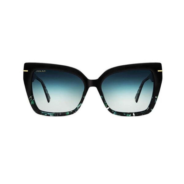 Polar Sunglass Model Gold 124 Col. 424