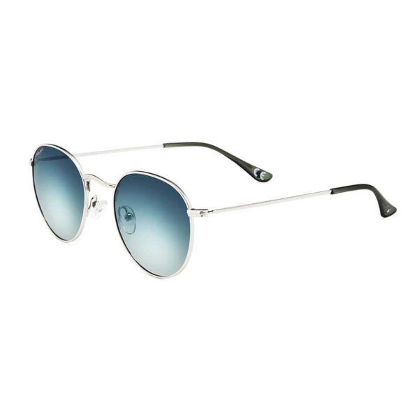 Polar Sunglass Model Michigan Col. 12/G