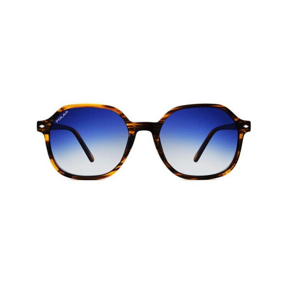 Polar Sunglass Model Steven Col. 429/Q
