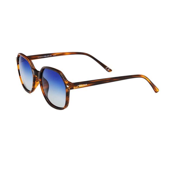 Polar Sunglass Model Steven Col. 429/Q
