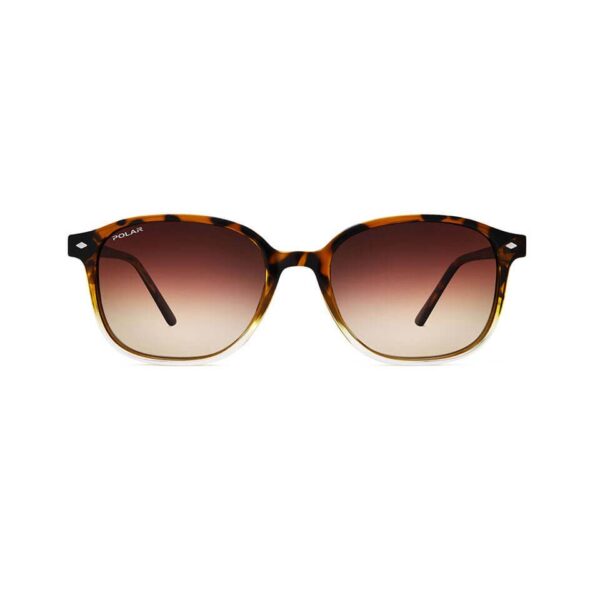Polar Sunglass Model Stewart Col. 430