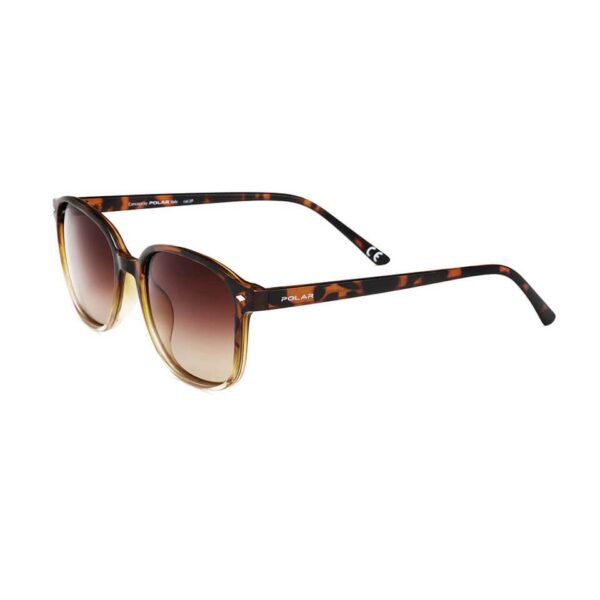 Polar Sunglass Model Stewart Col. 430