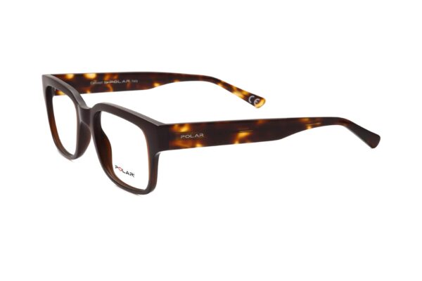 Polar Sunglass Model 1966 COL.430