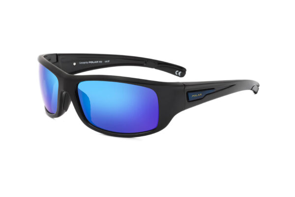 Polar Sunglass Model 3008 COL.77C