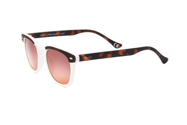 Polar Sunglass Model 362 COL.410