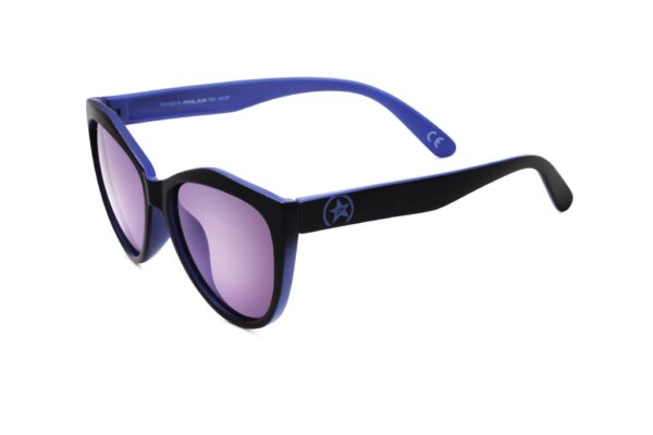 Polar Sunglass Model 5013 COL.18