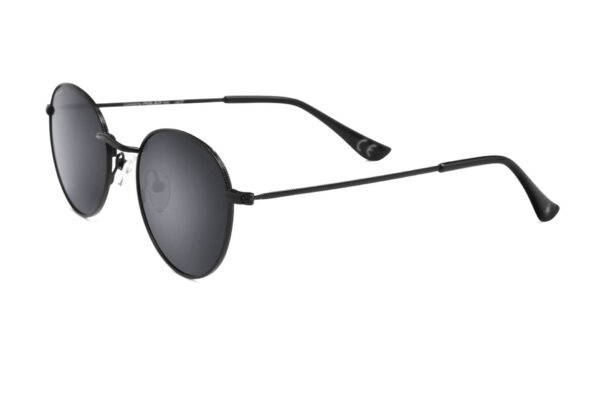 Polar Sunglass Model 532 COL.06