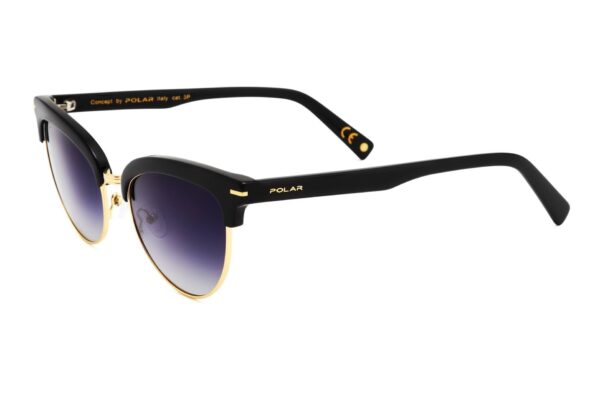 Polar Sunglass Model GOLD 121 COL.78