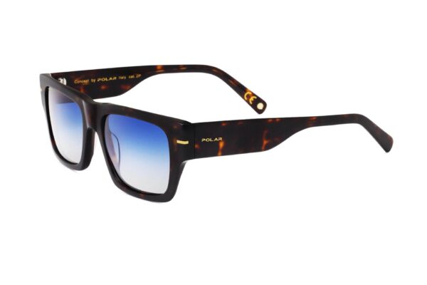 Polar Sunglass Model GOLD 126 COL.428Q