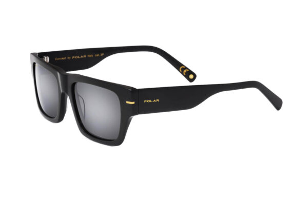Polar Sunglass Model GOLD 126 COL.77