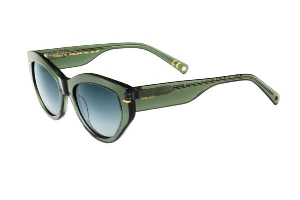 Polar Sunglass Model GOLD 128 COL.29