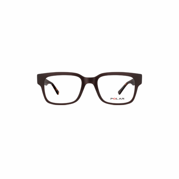 Polar Sunglass Model 1966 COL.430