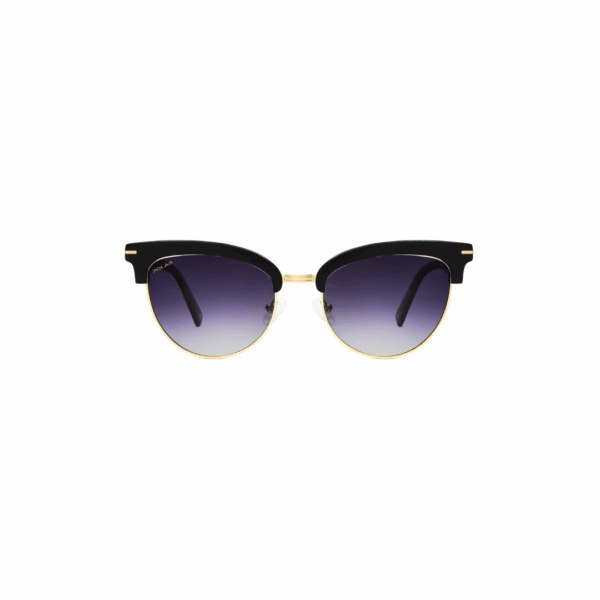 Polar Sunglass Model GOLD 121 COL.78